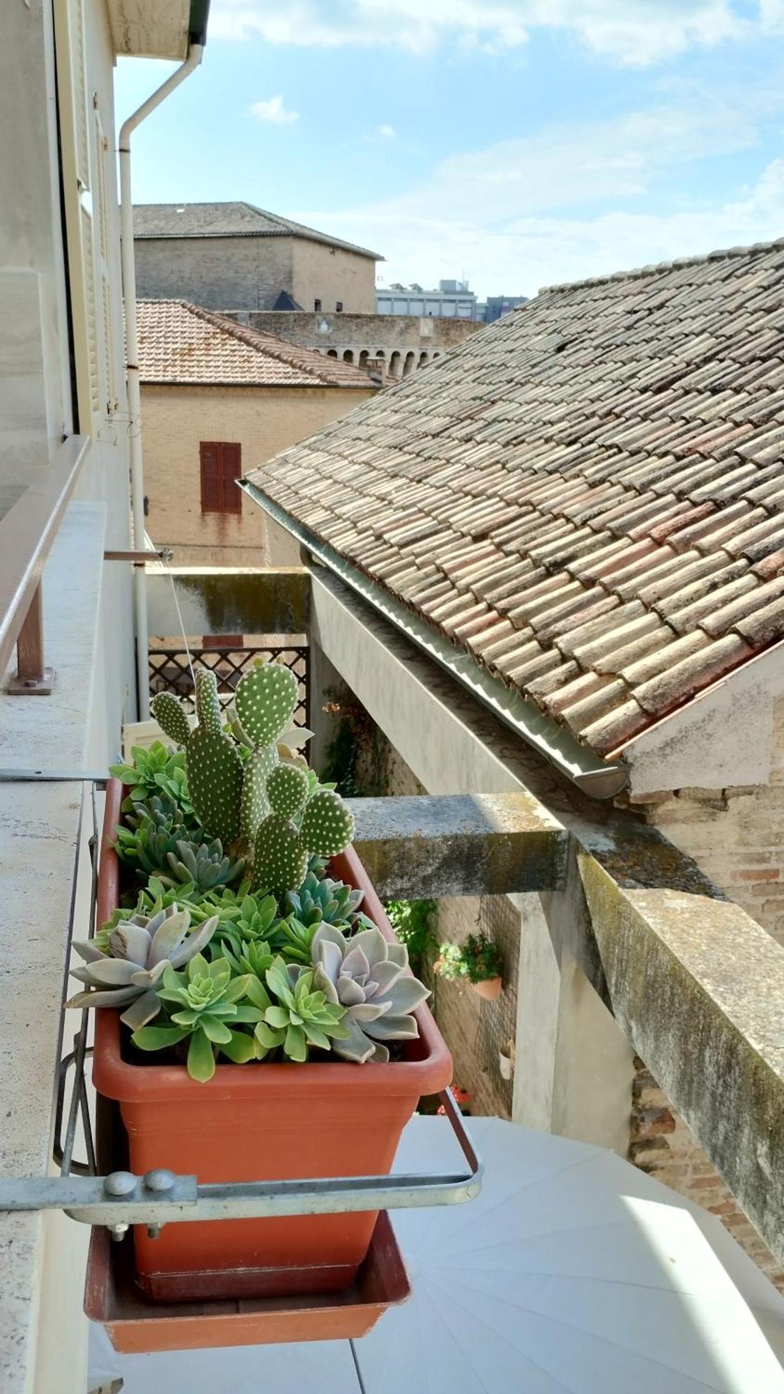 Palazzo Cavalletti - Appartamenti Nel Cuore Di Senigallia Bagian luar foto